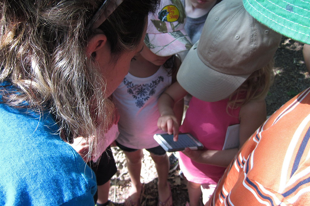 Reporting Invasive Species | Ontario's Invading Species Awareness Program