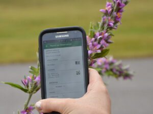 Invading Species Reporting | Ontario's Invading Species Awareness Program