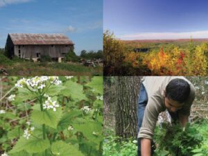 Landowners Workshops | Ontario's Invading Species Awareness Program