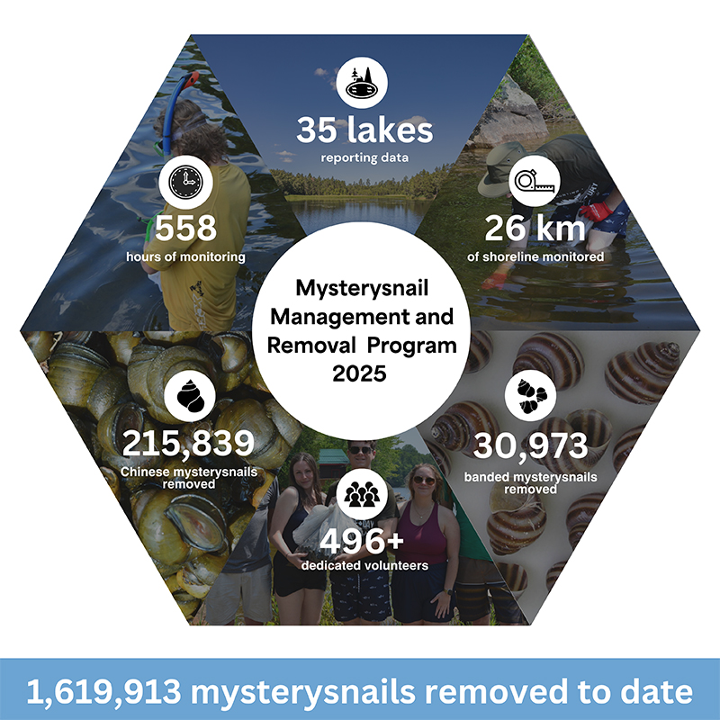 Mysterysnail Management and Removal Program - 2025 Stats