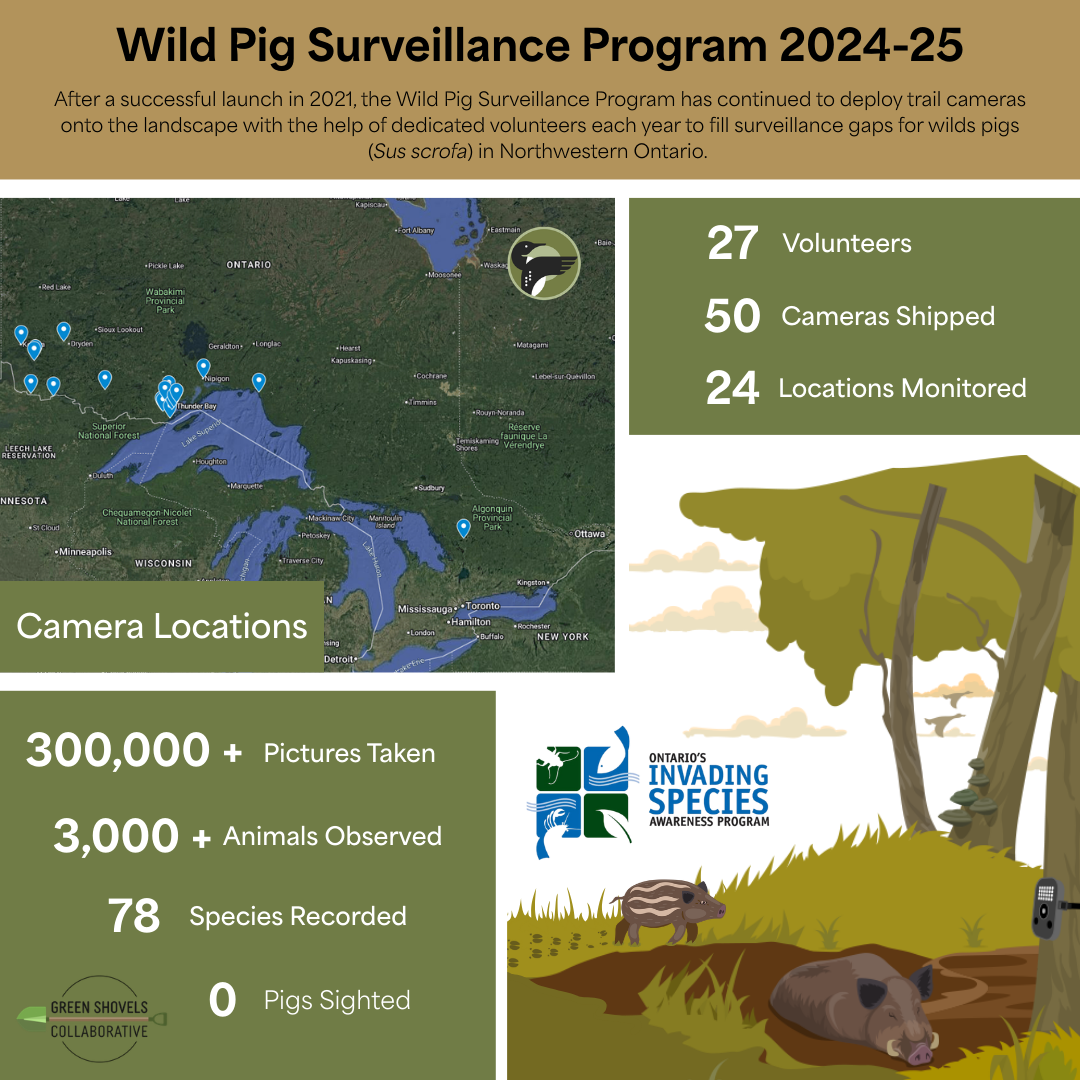Wild Pig Program Infographic 2021