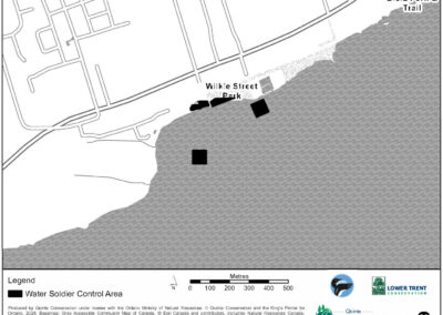 Water Soldier Treatment - Gracefield Lane to Wilkie Street, Belleville