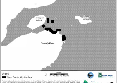 Water Soldier Treatment - Gravelly Point, Prince Edward County