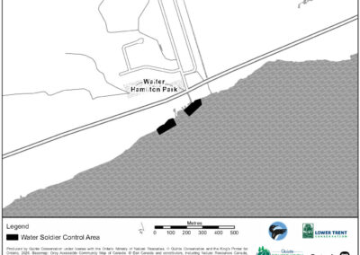 Water Soldier Treatment - Montrose Road, Quinte West