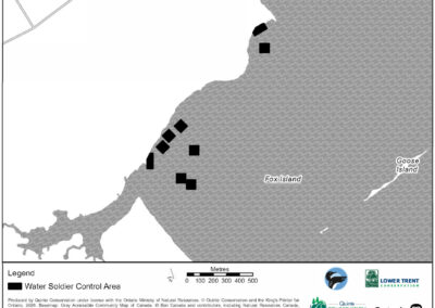 Water Soldier Treatment - Muscote Bay, Prince Edward County