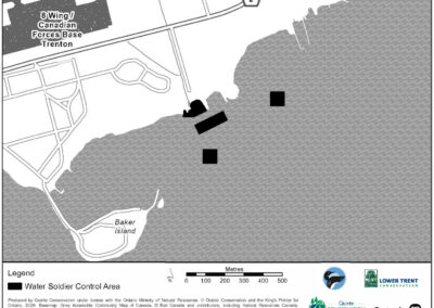Water Soldier Treatment - Quinte View Drive, Quinte West