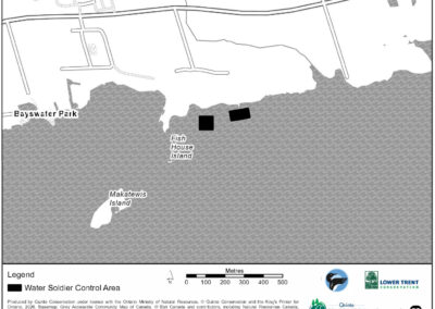 Water Soldier Treatment - Thrasher Lane, Quinte West