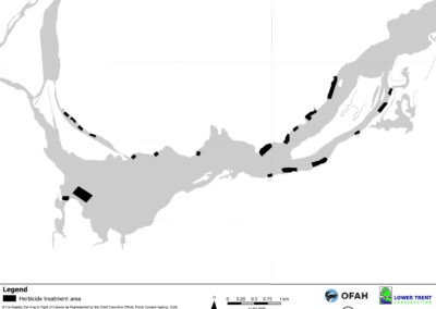 Water Soldier Treatment - Trent-Severn - Percy Reach, Trent Hills